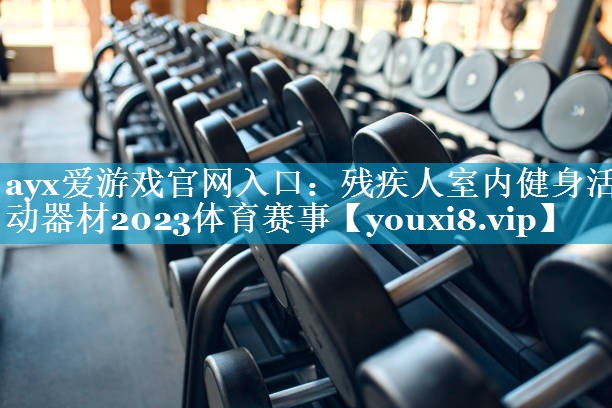 ayx爱游戏官网入口：残疾人室内健身活动器材2023体育赛事