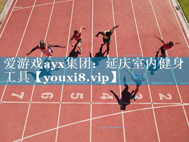 爱游戏ayx集团：延庆室内健身工具
