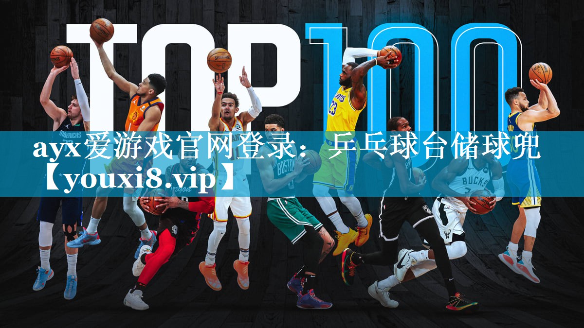 乒乓球台储球兜 乒乓球台储球兜