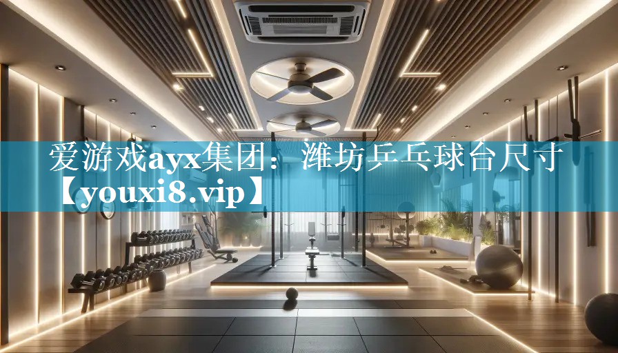潍坊乒乓球台尺寸 潍坊乒乓球台尺寸